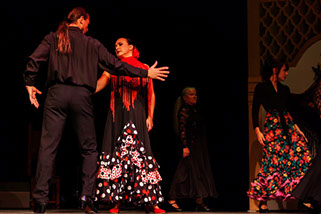 Fiesta: Alfonsina y el mar